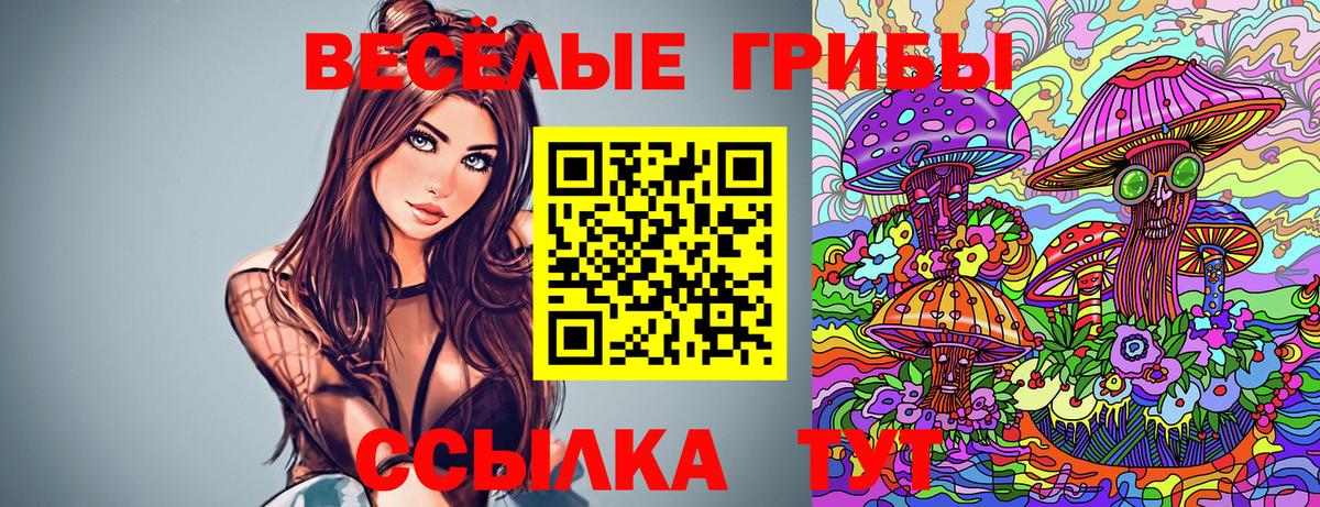 Долгопрудный  Галлюциногенные грибы Cubensis  цена   Вход с VPN 